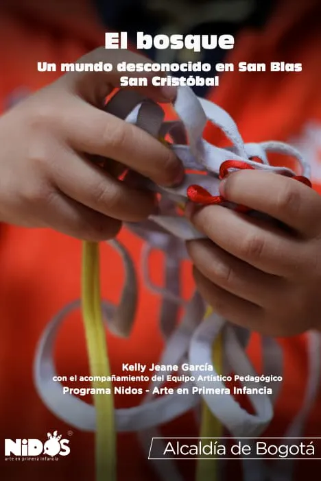 El bosque. un mundo desconocido en San Blas. San Cristóbal