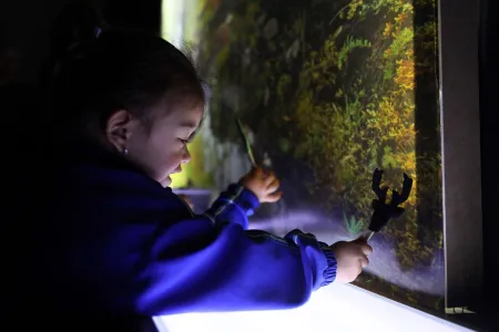 Rayito el laboratorio artístico para la primera infancia en la Cinemateca