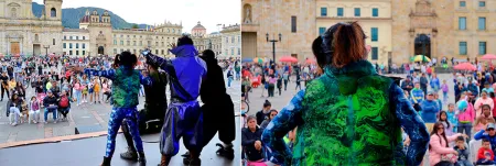 Nidos en la Plaza de Bolívar 