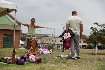 Nidos al parque 