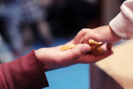 La primera infancia en los laboratorios 