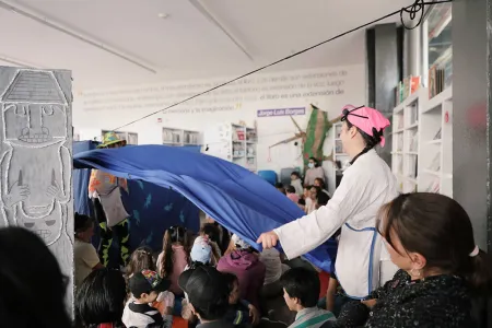 Nidos en las bibliotecas de la ciudad 