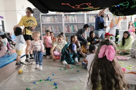 Nidos en las bibliotecas de la ciudad 