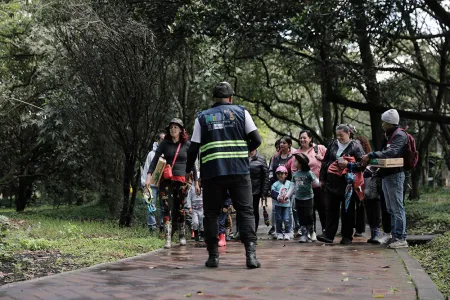 Nidos en los diversos escenarios 