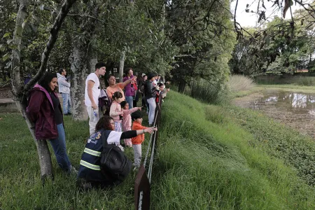 Nidos en los diversos escenarios 