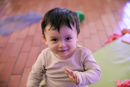 Nidos en las bibliotecas de la ciudad 