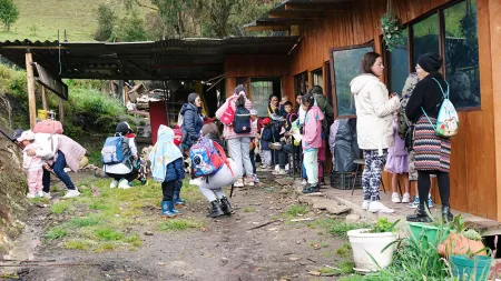 Nidos en Sumapaz