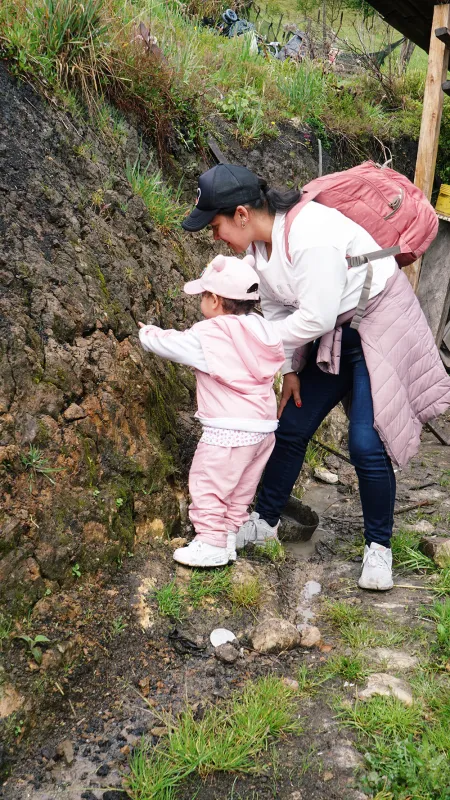 Nidos en Sumapaz