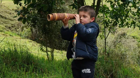 Nidos en Sumapaz