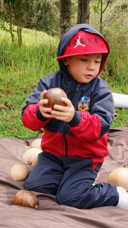 Nidos en Sumapaz