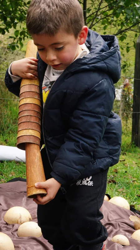 Nidos en Sumapaz