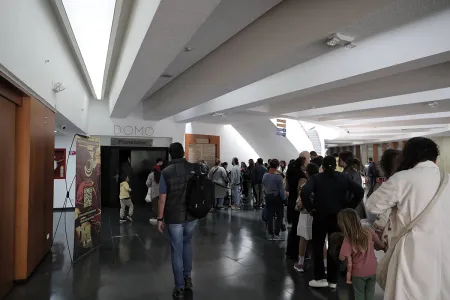 Obra Los lenguajes de los árboles