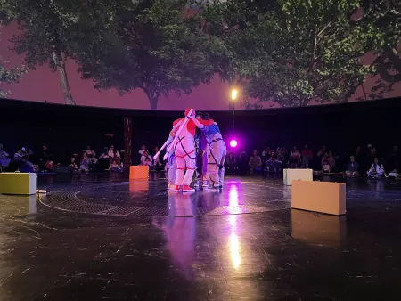 Obra Los lenguajes de los árboles