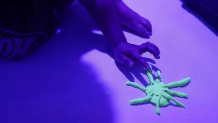 Nido Fractario y Nido Gaia 