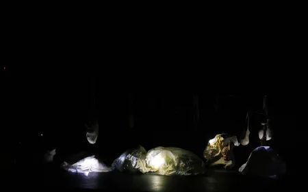 Obra Entre las cuerdas de la jigra