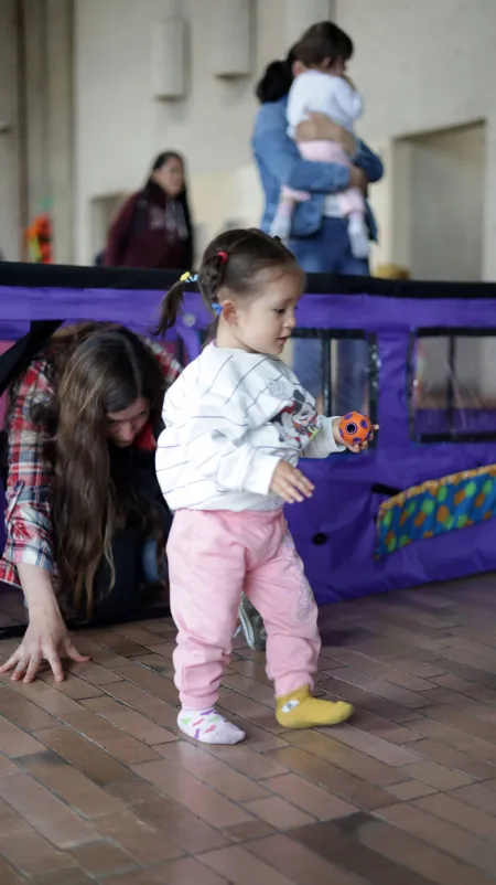 Así vivió Nidos el 2025