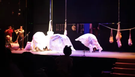 Obra Entre las cuerdas de la jigra