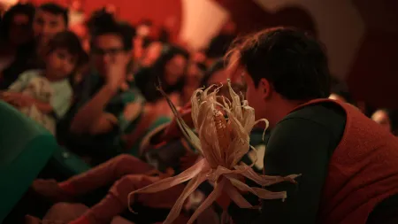 Obra Entre las cuerdas de la jigra