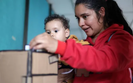 Experiencia artística Por qué no vuelven los pájaros