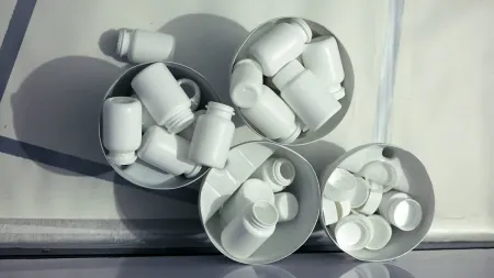 Experiencia artística Por qué no vuelven los pájaros