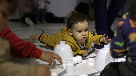 Experiencia artística Por qué no vuelven los pájaros