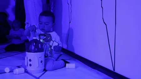 Experiencia artística Por qué no vuelven los pájaros