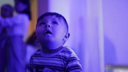 Así vivió Nidos el 2025