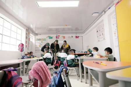 Nidos y Anidando SED