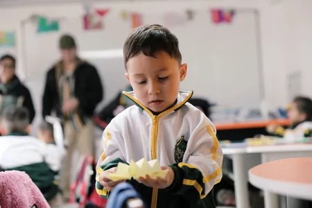 Nidos y Anidando SED