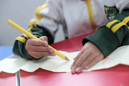 Nidos y Anidando SED