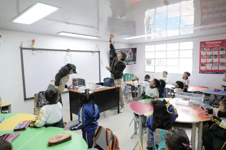 Nidos y Anidando SED