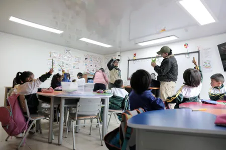 Nidos y Anidando SED