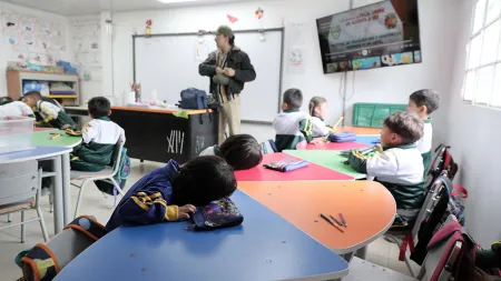 Nidos y Anidando SED