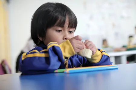 Nidos y Anidando SED