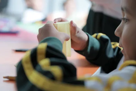 Nidos y Anidando SED