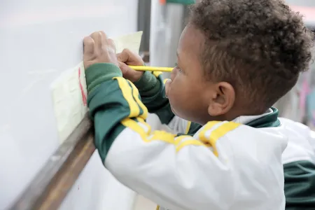 Nidos y Anidando SED