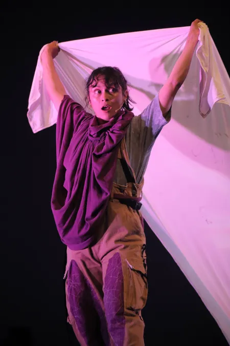 Así vivió Nidos el 2025