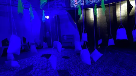 Así vivió Nidos el 2025