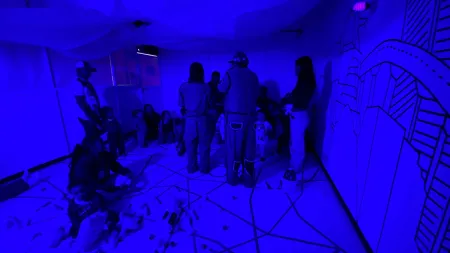 Experiencia artística Por qué no vuelven los pájaros