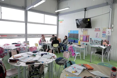 Nidos en el colegio Fernando Soto 