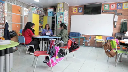 Nidos en el colegio Fernando Soto 