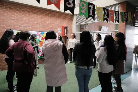 Nidos en el colegio Fernando Soto 