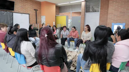 Nidos en el colegio Fernando Soto 