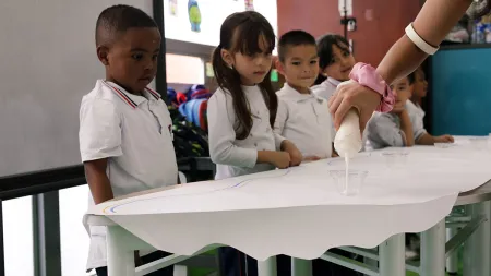 Nidos en los colegios de Bogotá
