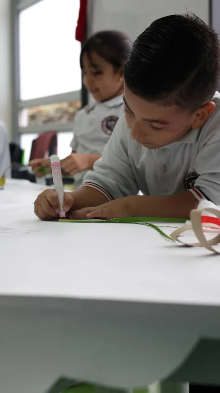Nidos en los colegios de Bogotá