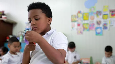 Nidos en los colegios de Bogotá