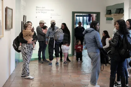 Nidos en el Museo de la Independencia