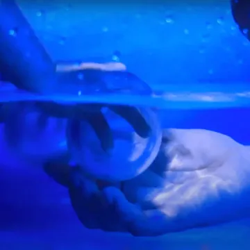 Agua pa’ mi guagua