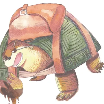 El Camino de la tortuga