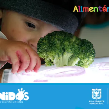 Alimentándonos